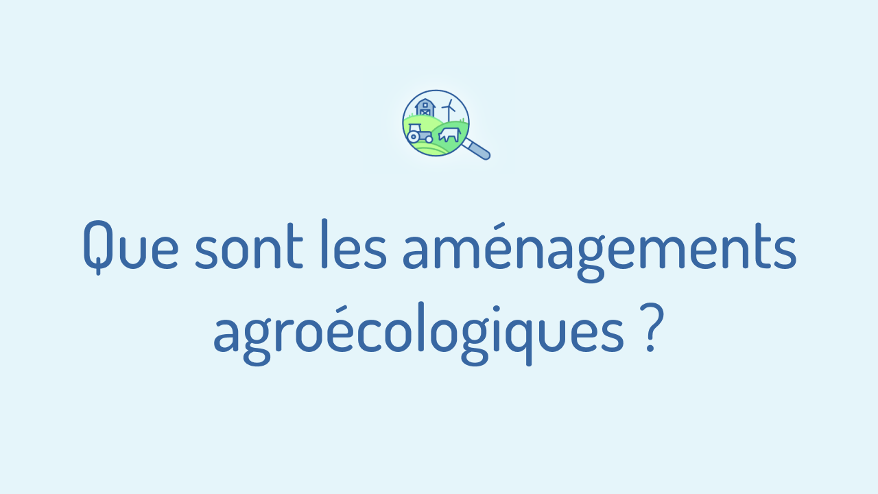 Mignature de la vidéo « Que sont les aménagements agroécologiques ? »